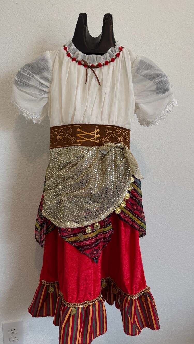 Goodmark Gypsy Fortune Teller Costume Size S 4-6 Girls Halloween